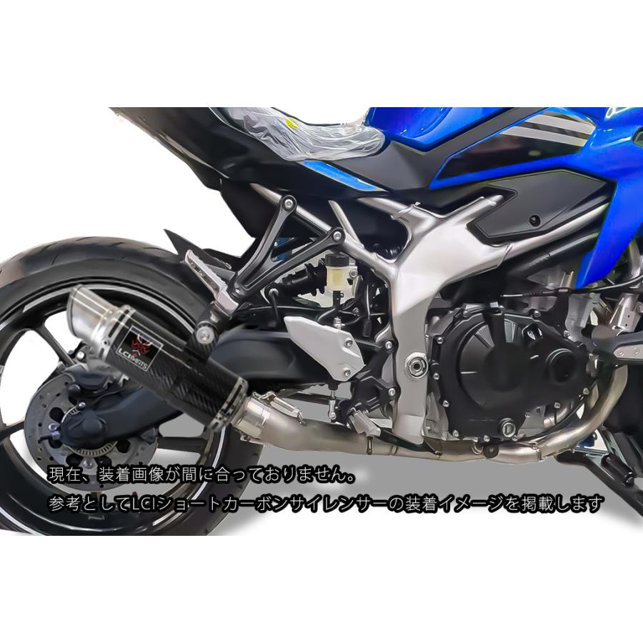 カワサキ ニンジャ ZX-25R / SE 2020-2022 LCIPARTS GP カワサキ ニンジャ ZX-25R / SE 2020-2022 LCIPARTS GP