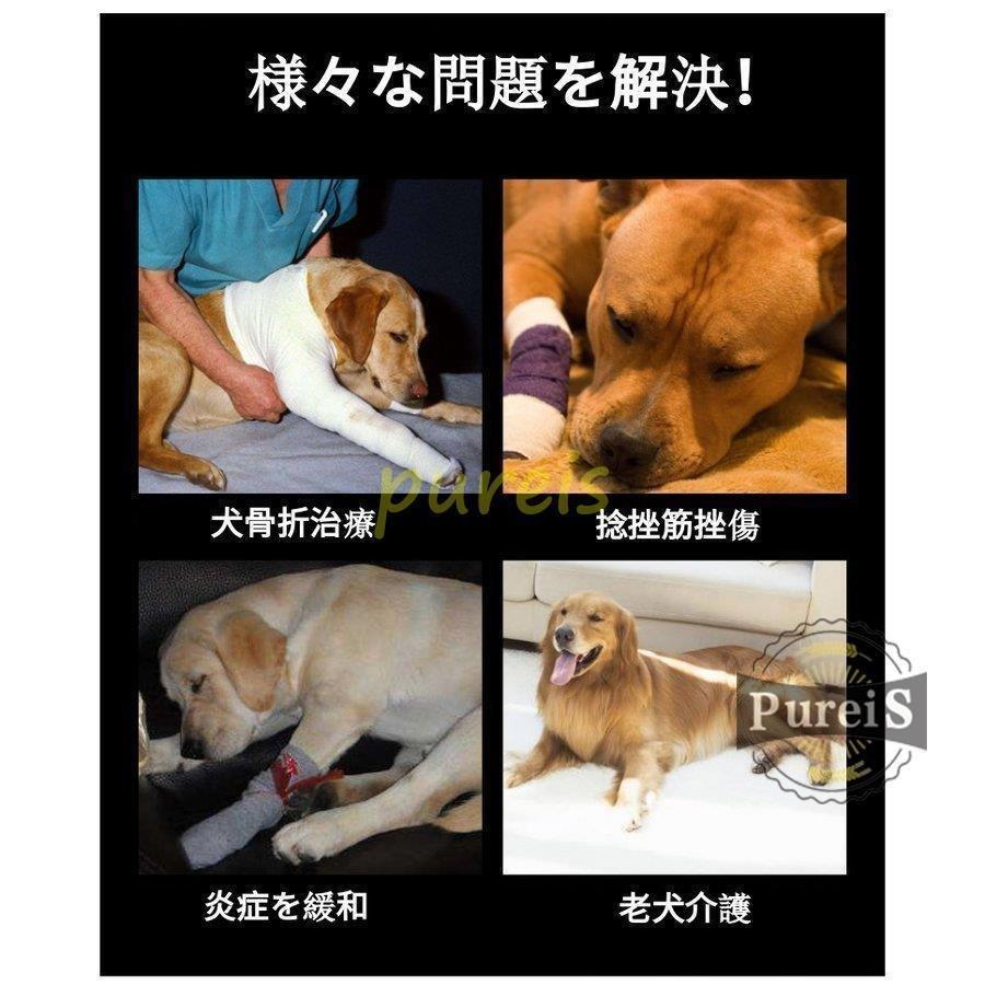 定番スタイル 中小型犬用足根関節サポーター ショートサポーター リハビリホック 片足 怪我防止 犬骨折治療 捻挫 筋挫傷 外科用に犬介護 保健 ペットケア Shipsctc Org