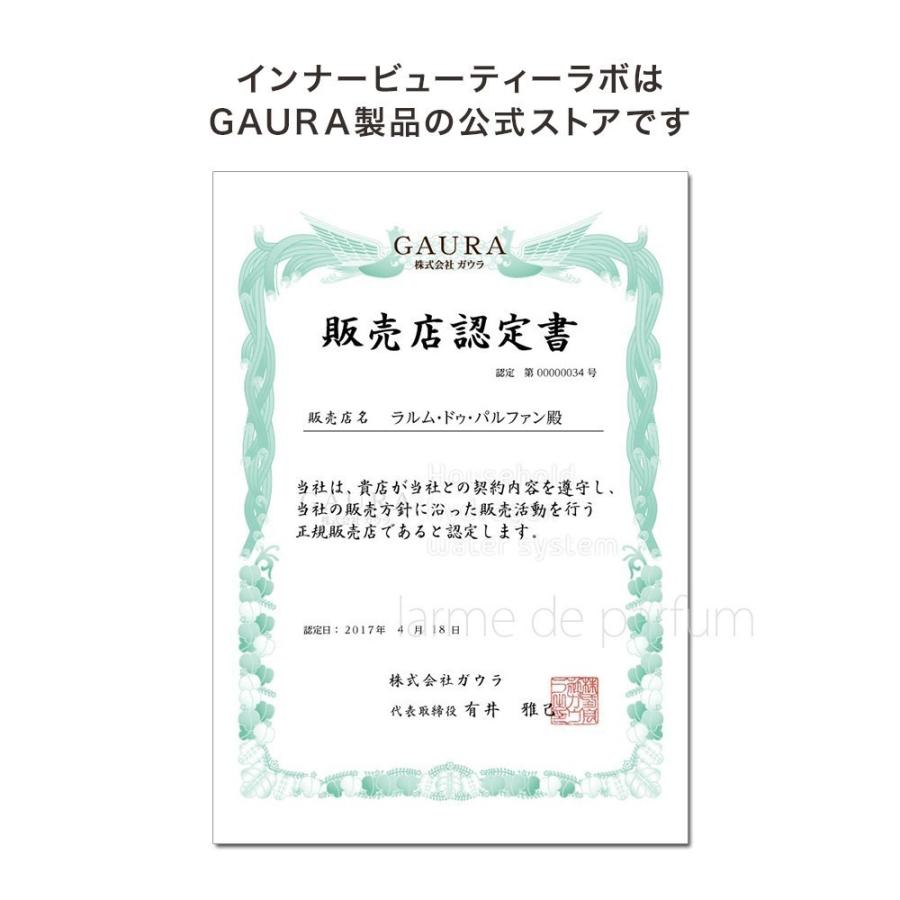 ラベル変更】 水素水生成器 GAURAmini（ガウラミニ）専用交換用