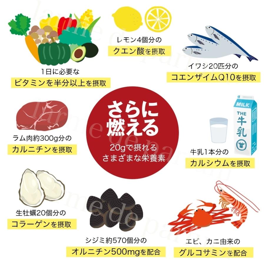 【公認店 3袋セット】 ガウラ さらに燃える 500g クエン酸 6820mg コエンザイムQ10 100mg 粉末飲料 サプリ サプリメント ダイエット 運動 筋トレ レモン風味の画像