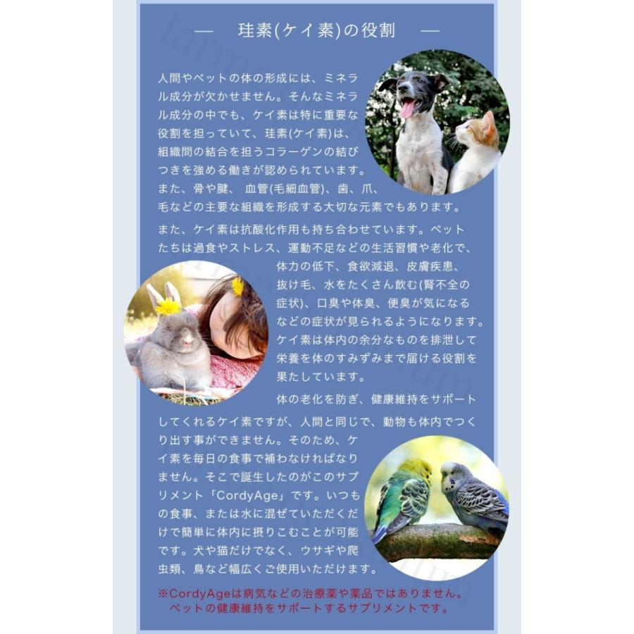 ペット用サプリメント CordyAge (コルディアージュ) 75ml 冬虫夏草配合 稲穂もみ殻由来 植物性ケイ素濃縮溶液 国内製造 コルジセピン シリカ |  | 08