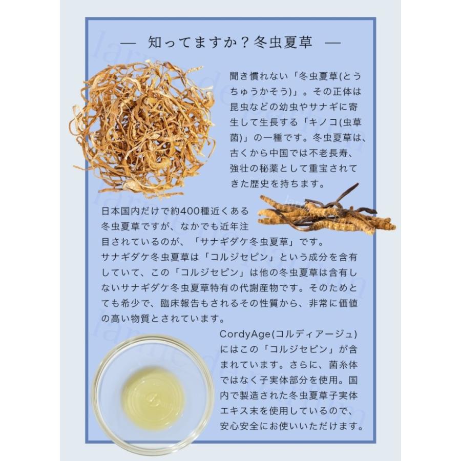 ペット用サプリメント CordyAge (コルディアージュ) 75ml 冬虫夏草配合 稲穂もみ殻由来 植物性ケイ素濃縮溶液 国内製造 コルジセピン シリカ |  | 07