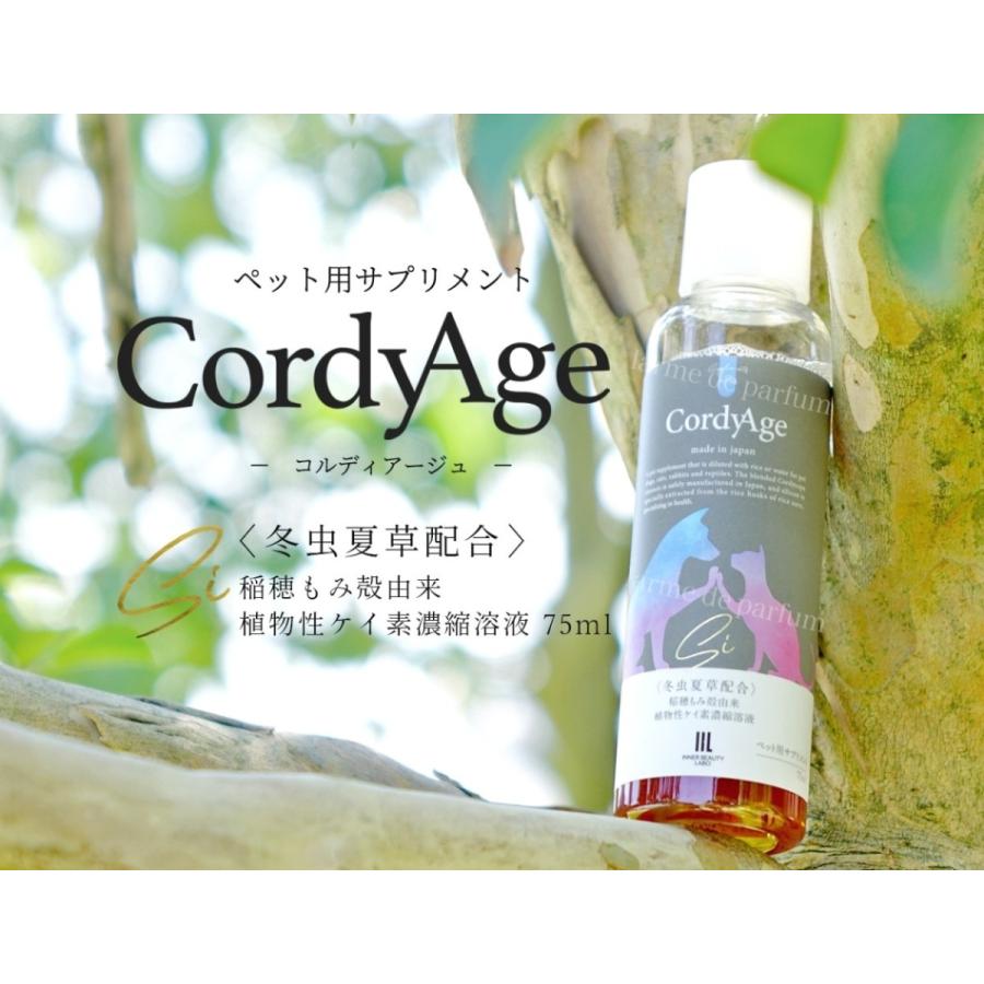 ペット用サプリメント CordyAge (コルディアージュ) 75ml 3本セット 冬虫夏草配合 稲穂もみ殻由来 植物性ケイ素濃縮溶液 コルジセピン シリカ |  | 18