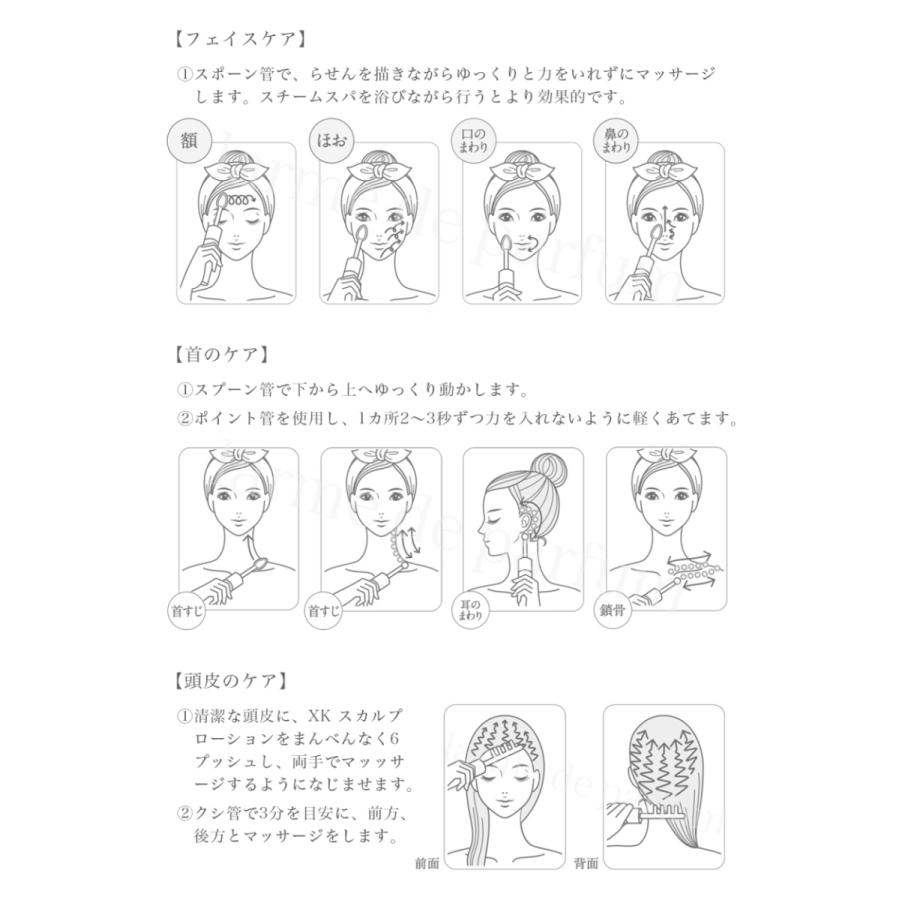 フェクサ　ユニ　テスラー 美顔器 美容家電 美容グッズFEXA'-uni- fell set フェクサ ユニ フル