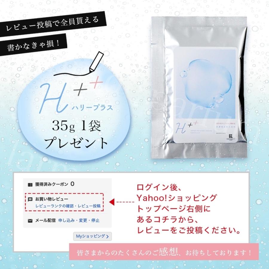 限定販売品 ホメオスタイル プレヴェールユーお手入れセット-
