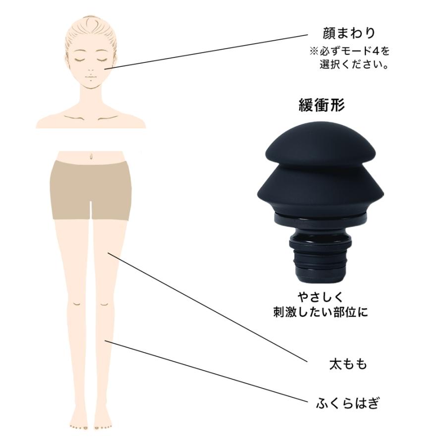 レビュー投稿で延長保証】 ドクターエア エクサガン ハンディプロ