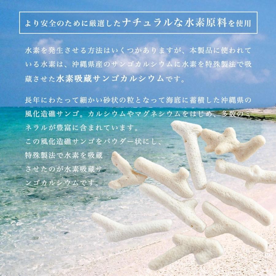 公認店】 エヴァー水素 60粒 水素推進機構 水素サプリメント 水素