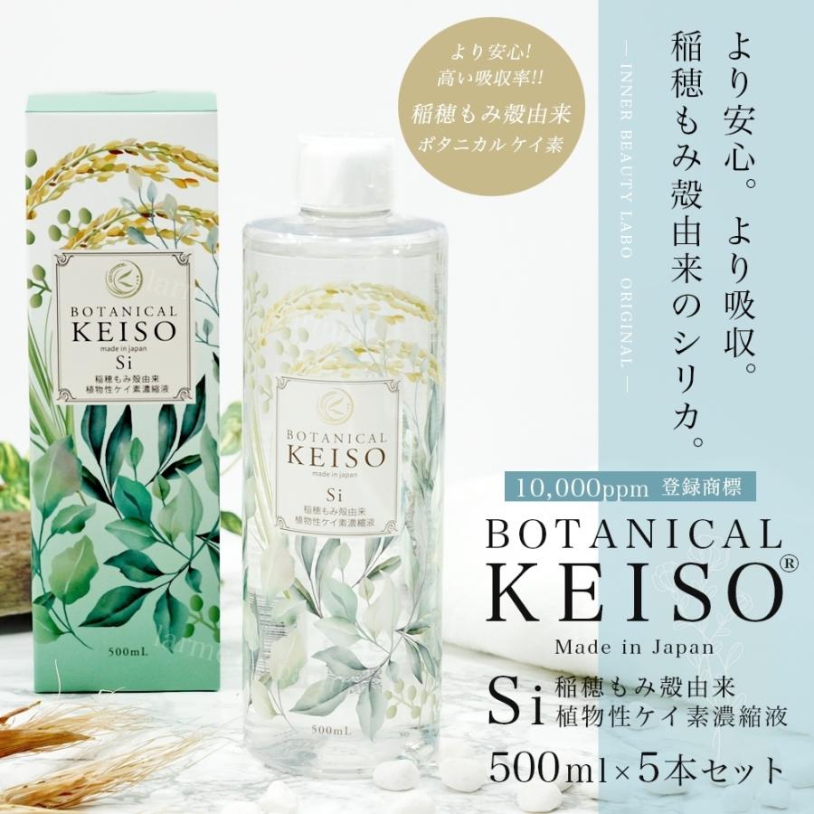 シリカ水 500ml 220本分 シリカ ケイ素 水溶性 高濃度 濃縮溶液 効果 珪素の効能 サプリ ケイ素水 珪素水 サプメント 珪素とは  ボタニカルケイ素 5本セット :lip-1612a-dk9-m-3:美容・健康専科 Inner Beauty Labo - 通販 -  Yahoo!ショッピング