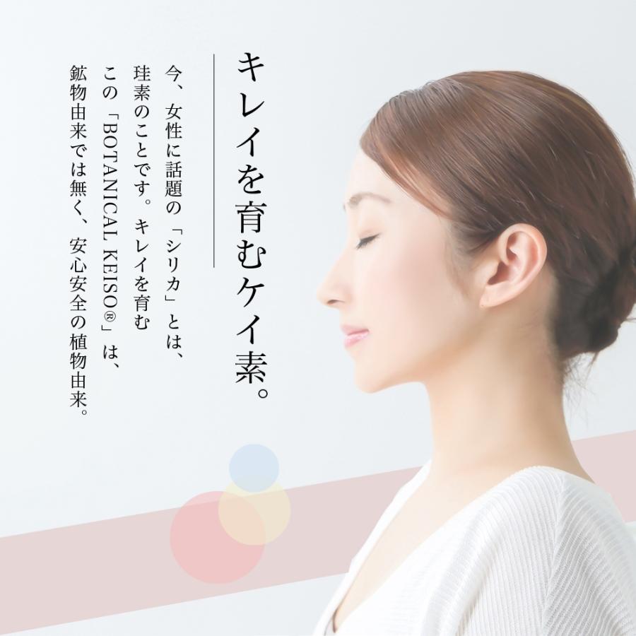 公式】 シリカ 濃縮液 高濃度10000ppm ボタニカルケイソ 500ml ケイ素