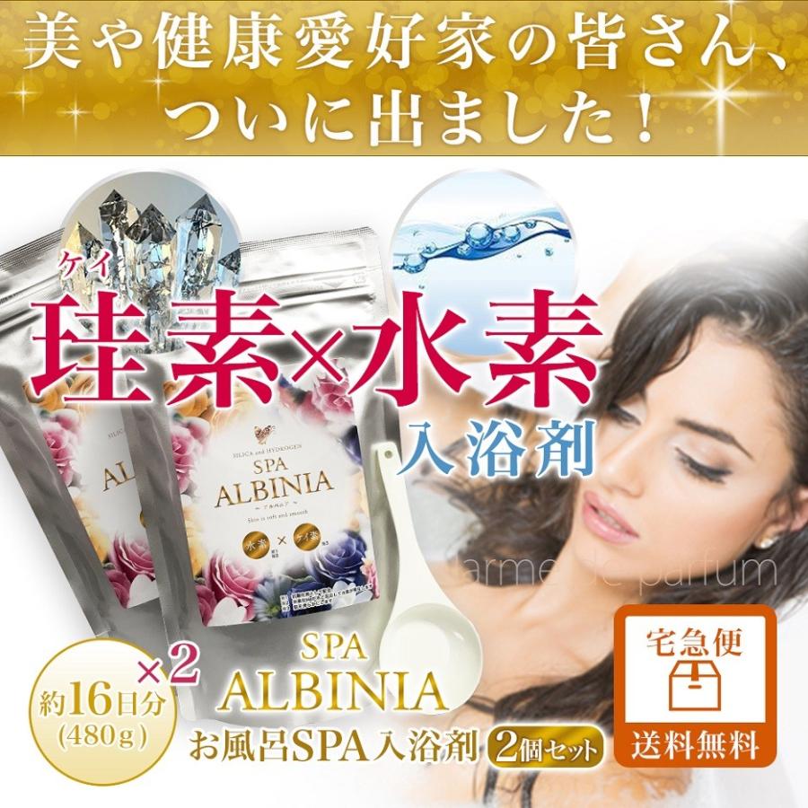 シリカ 水素 入浴剤 2個セット 960g 約40日分 珪素 ケイ素 水素入浴剤 Albania アルバニア 日本製 メール便送料無料 ミネラル 美浴 水素水 水素風呂 Mar 1702a Alba M 2 美容 健康専科 Inner Beauty Labo 通販 Yahoo ショッピング