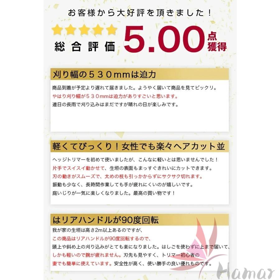 新型ヘッジトリマー 充電式 電動ポールヘッジトリマー マキタ18Vバッテリーと互換性 トリマー刈り幅530mm 長さ270cm 3段式のポール着脱可 芝生刈り込み 庭木剪定 |  | 01