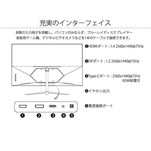 JAPANNEXT 27型WQHD、Type-C 65W給電対応液晶モニターJN-T27WQHD-C65W USB PD USB-C｜le-ciel-3rd-store｜04