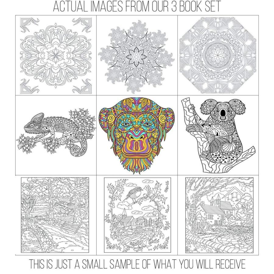 Creatively Calm Studios (クリエイティブリー カーム スタジオ) 大人用塗り絵セット - 大人用塗り絵ブック3冊 - Calm Studios クリエイティブリー カーム スタジオ 大人用塗り絵セット 大人用塗り絵ブック3冊