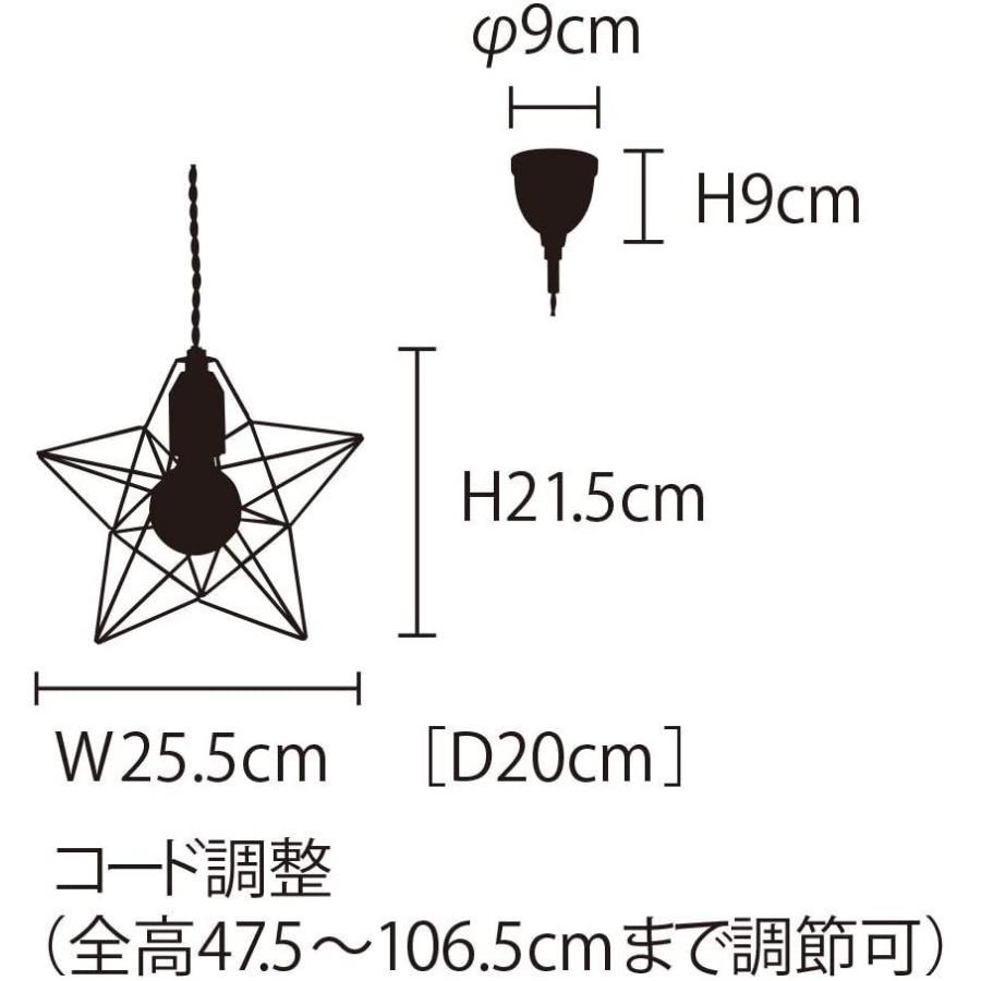 売りです ペンダントライト Bleis(L) ブレイスL LT-1091ST LT-1091ST