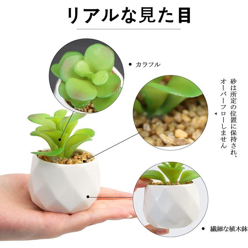 Rakuten パック ミニ鉢植え多肉植物フェイクプラント シミュレーション植物セット、クリスマス ホーム インテリ リビング デスク オフィス  ルーム スタンド花