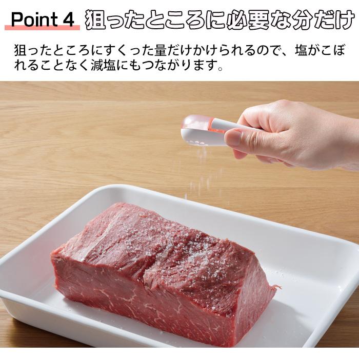 レイエ パラパラ 塩ふるい 計量スプーン 塩振り 日本製 片手でできる