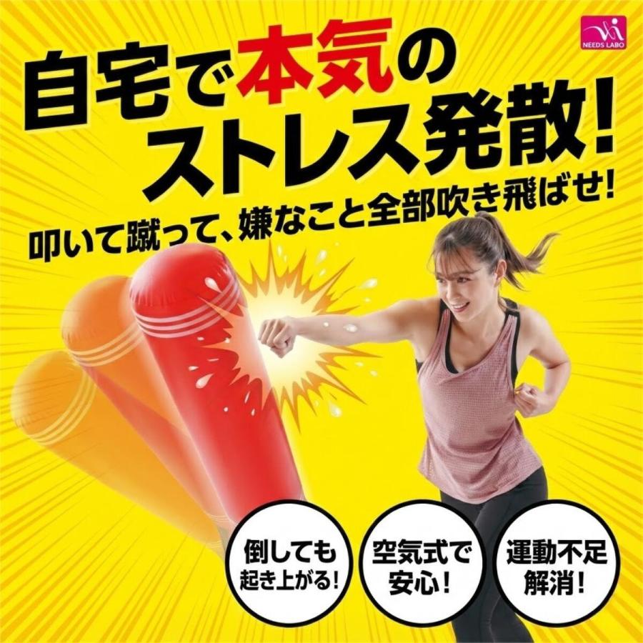 ［ちか］⭐️送料込み⭐️美品 Camicia ＋スタンド軽量Bag赤 CARGO カーゴ スーツケース キャリーバッグ 機内持ち込み TSAロック