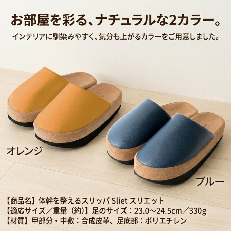 体幹スリッパ スリエット 体幹トレーニング スリッパ Sliet ダイエットスリッパ ダイエットサンダル 体幹 バランス 美脚 姿勢 下半身太り 健康サンダル | ブランド登録なし | 09
