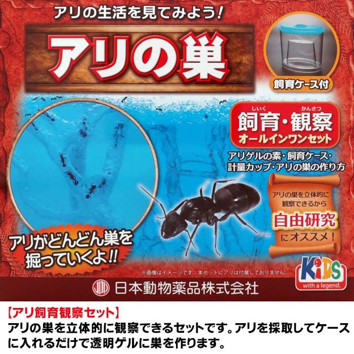 アリの巣観察キット アリキャッチャー付き アリ 飼育 キット アリの巣