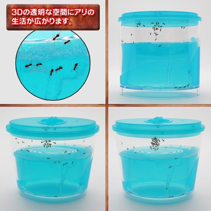 アリの巣観察キット アリキャッチャー付き アリ 飼育 キット アリの巣 