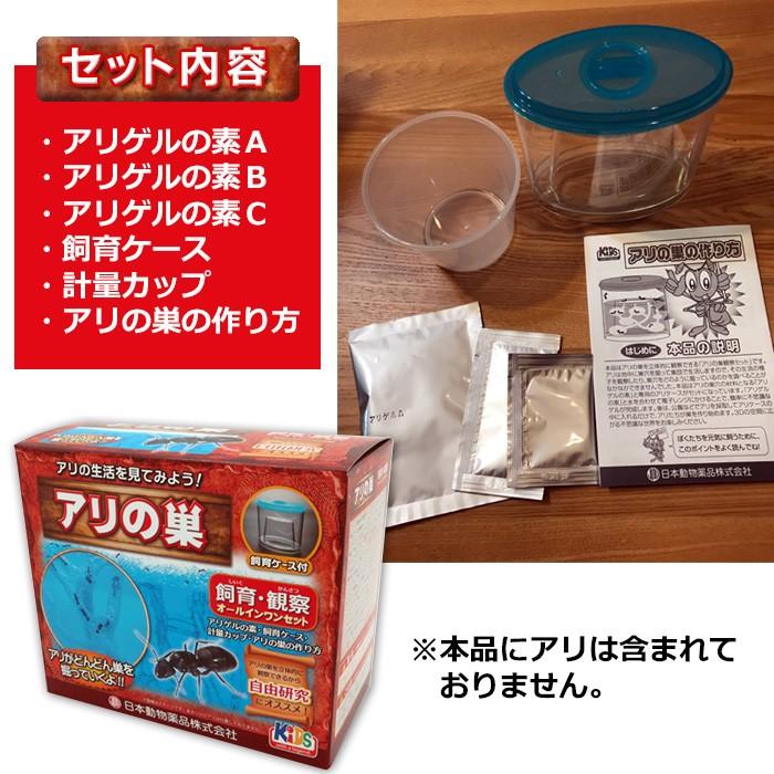 アリの巣観察キット アリキャッチャー付き アリ 飼育 キット アリの巣