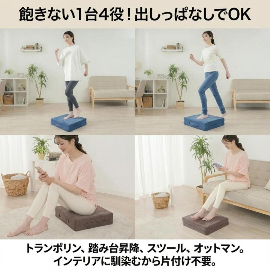 IGNIO 体幹トレーニングセット（ステッパー＆バランスボード） leo