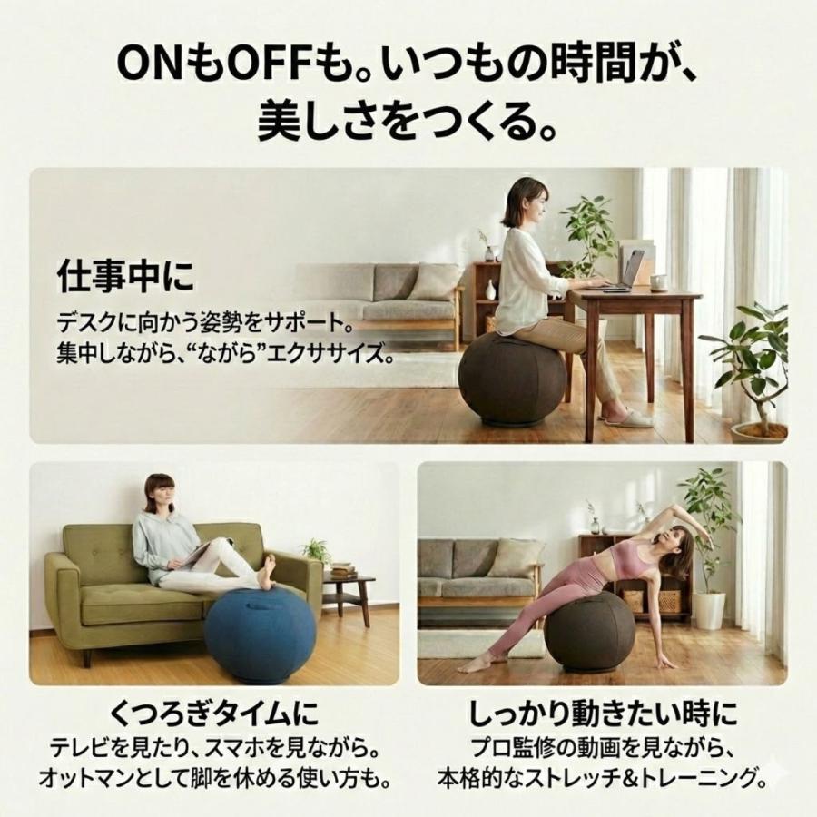 バランスボール 椅子 体幹バランス エクサボール 約55cm 体幹