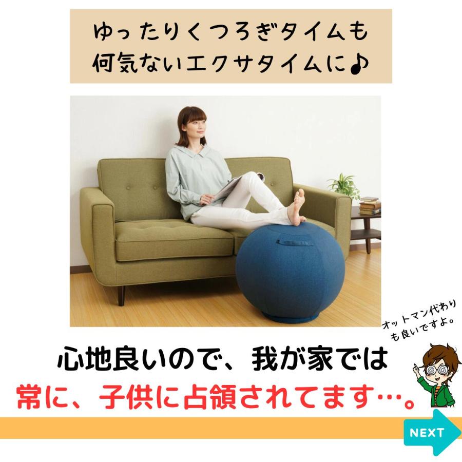 バランスボール 椅子 体幹バランス エクサボール 約55cm ブラウン