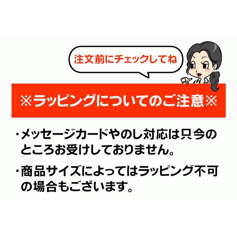 コシオスプレミアム cosios premium クッション ハイバック 腰 骨盤 椅子 姿勢 デスクワーク  腰痛 オフィス 座布団 骨盤を立てるクッション 腰当てクッション｜le-cure｜13