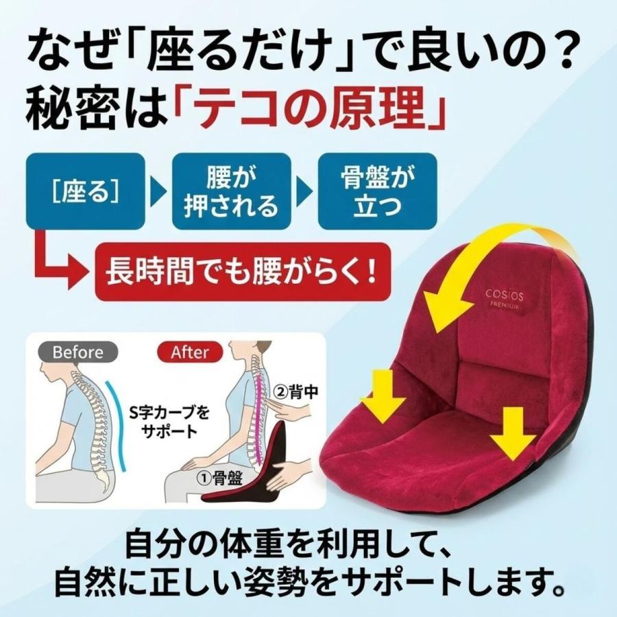 コシオスプレミアム cosios premium クッション ハイバック 腰 骨盤