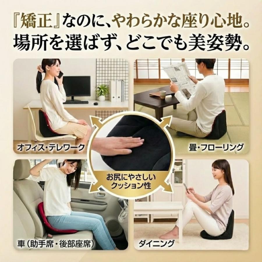 コシオスプレミアム cosios premium クッション ハイバック 腰 骨盤