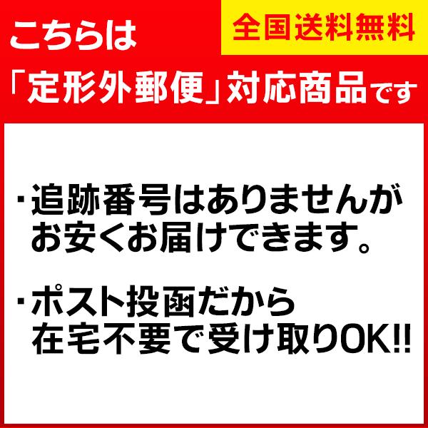 かかとケア セルシュ リバーシブル うぶ毛 角質リムーバー 足裏ケア かかと 爪 つめ やすり 角質除去  角質ケア 角質 削る 産毛ケア 足の角質ケア 定形外出荷 | ブランド登録なし | 06