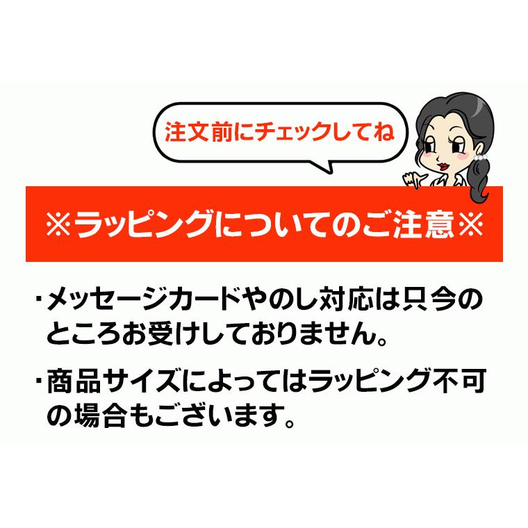 美容師さんの艶髪ブラシ静電気除去タイプ プロイデア ヘアブラシ ブラシ 髪 ブロー ヘアケア 美容院 美容室 サロン 保湿 エイジング 頭皮ケア セット メイク｜le-cure｜13