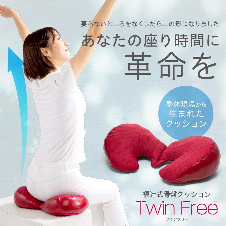 ドリーム 福辻式 骨盤クッション ツインフリー デスクワーク 腰痛 骨盤