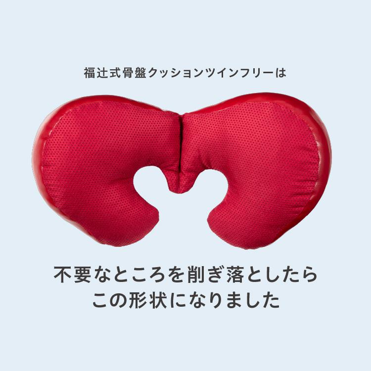 ドリーム 福辻式 骨盤クッション ツインフリー デスクワーク 腰痛 骨盤