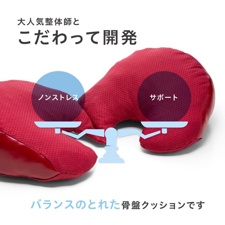 ドリーム 福辻式 骨盤クッション ツインフリー デスクワーク 腰痛 骨盤