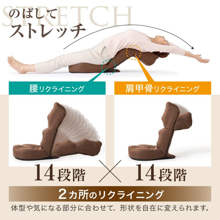 ドリーム 肩腰スッキリ 座椅子 ホグレッチ ブラウン/グリーン 指圧代用