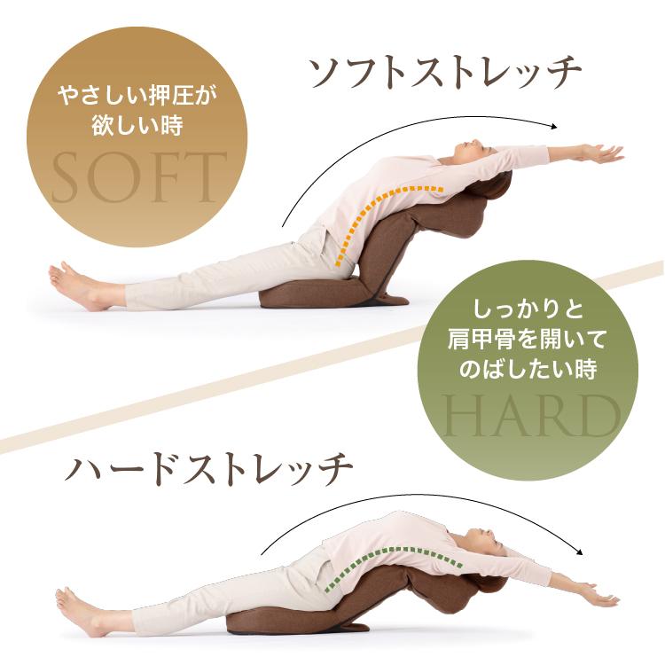 ドリーム 肩腰スッキリ 座椅子 ホグレッチ ブラウン/グリーン 指圧代用