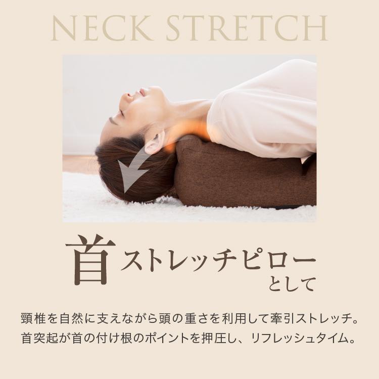 ドリーム 肩腰スッキリ 座椅子 ホグレッチ ブラウン/グリーン 指圧代用