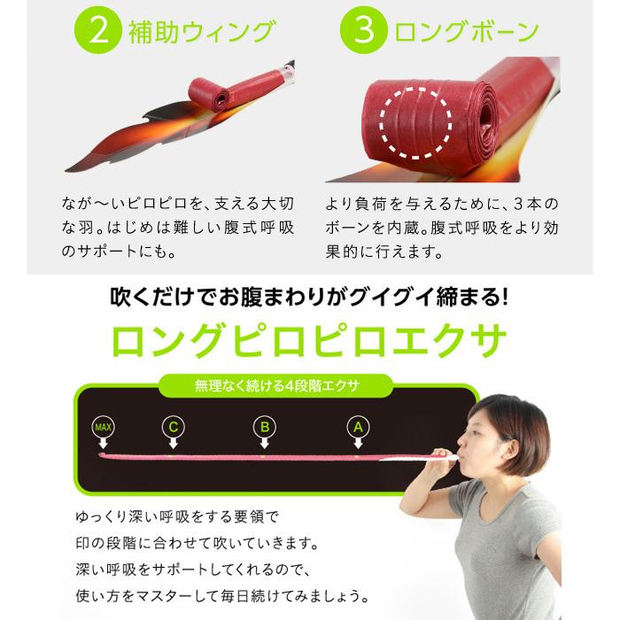 腹式呼吸エクサ ロングピロピロ 吹き比べ 3種セット 吹き戻し 腹式呼吸 ダイエット 器具 お腹 引き締め グッズ ブレストレーニング 腹筋 お腹周り ストロング | PROIDEA | 03