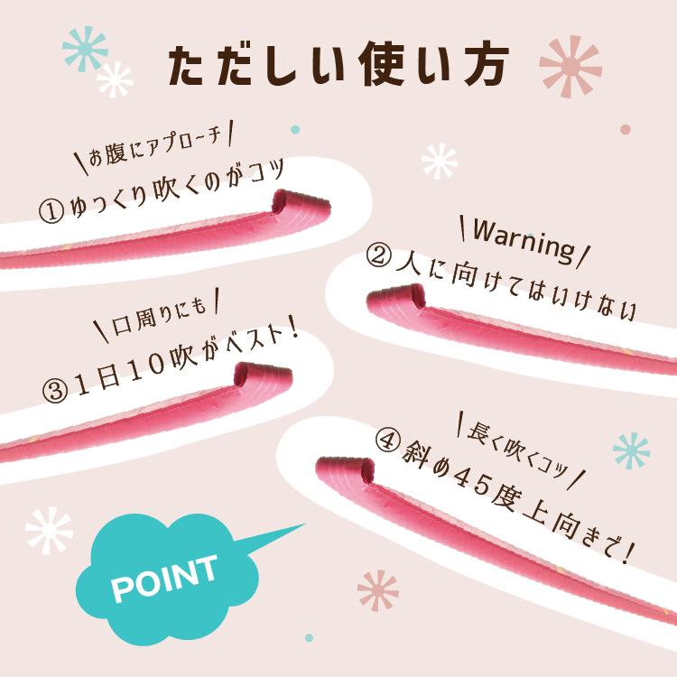 ＼TVで紹介／腹式呼吸 エクササイズ ロングピロピロ 吹き戻し 腹式呼吸 ダイエット ロングブレス ピロピロ笛 表情筋 小顔 くびれ ウエスト 下腹 お腹 引き締め | PROIDEA | 10