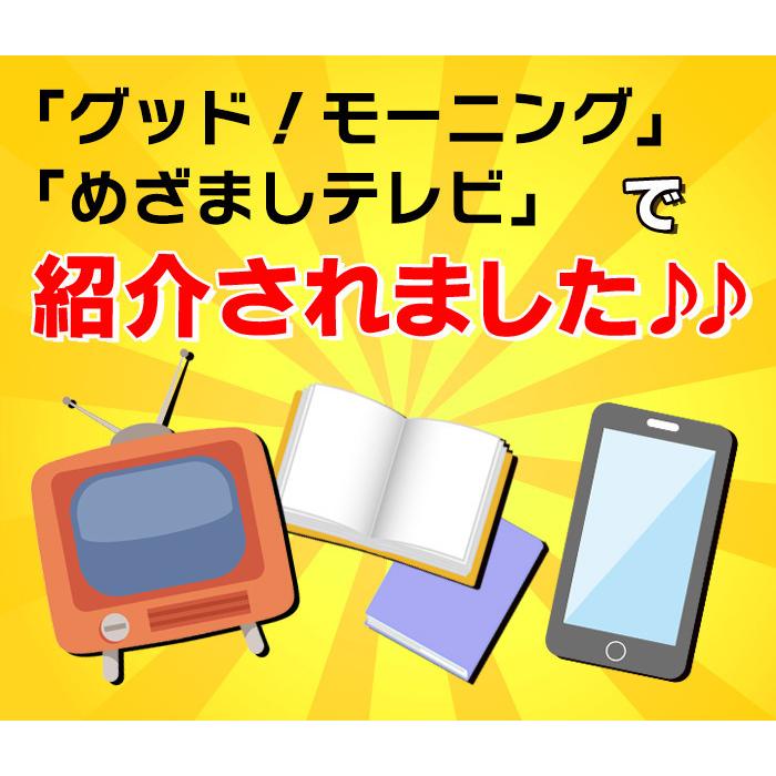 ＼TVで紹介／腹式呼吸 エクササイズ ロングピロピロ 吹き戻し 腹式呼吸 ダイエット ロングブレス ピロピロ笛 表情筋 小顔 くびれ ウエスト 下腹 お腹 引き締め | PROIDEA | 01