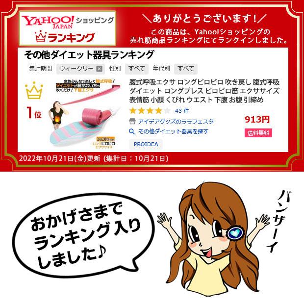 PROIDEA（プロイデア） ＼TVで紹介／腹式呼吸 エクササイズ ロング