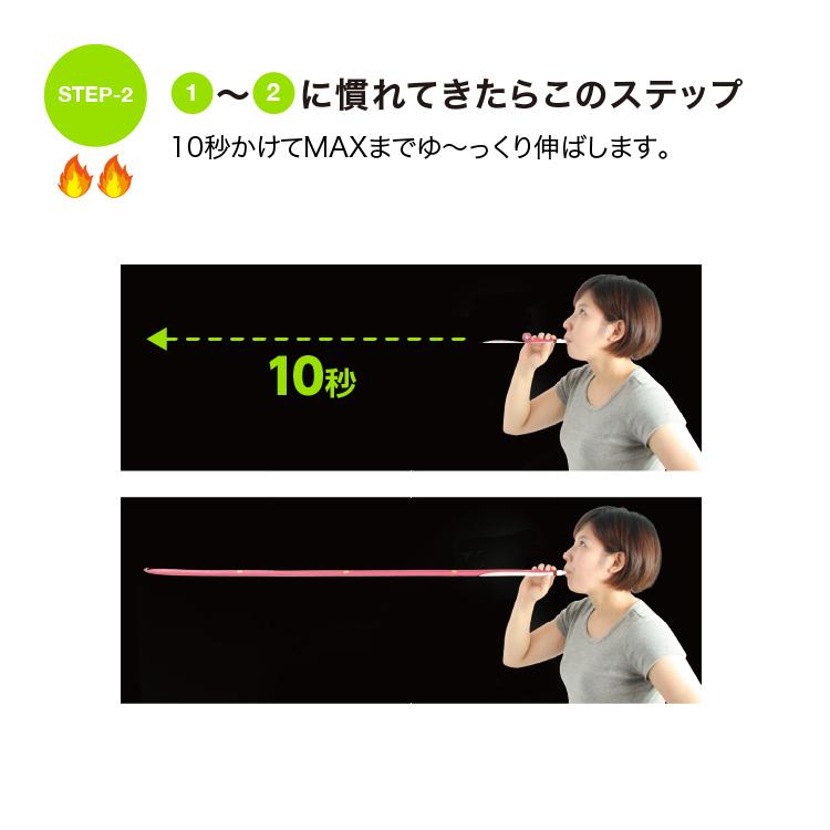 腹式呼吸エクサ ロングピロピロ スーパーストロング 腹式呼吸 ダイエット 器具 ロングブレス ピロピロ笛 吹き戻し 下腹 エクササイズ 筋トレ 腹筋 爆買 | PROIDEA | 10