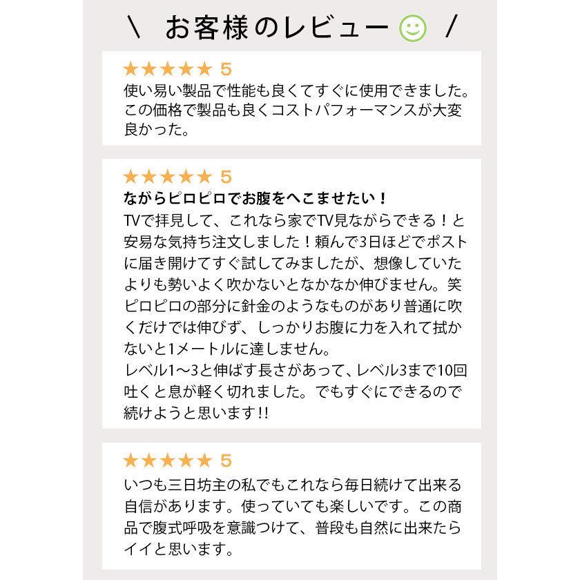 腹式呼吸エクサ ロングピロピロ スーパーストロング 腹式呼吸 ダイエット 器具 ロングブレス ピロピロ笛 吹き戻し 下腹 エクササイズ 筋トレ 腹筋 爆買 | PROIDEA | 02