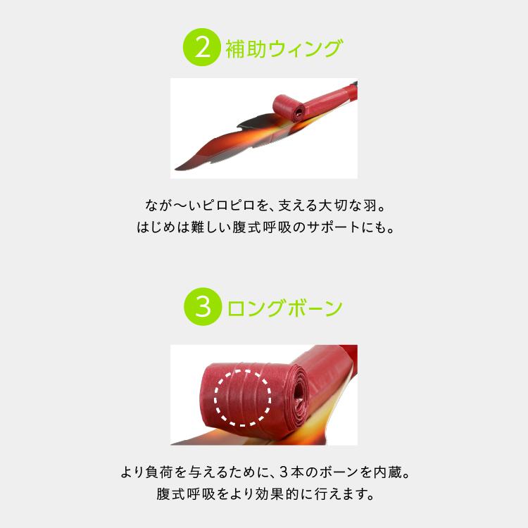 腹式呼吸エクサ ロングピロピロ スーパーストロング 腹式呼吸 ダイエット 器具 ロングブレス ピロピロ笛 吹き戻し 下腹 エクササイズ 筋トレ 腹筋 爆買 | PROIDEA | 07