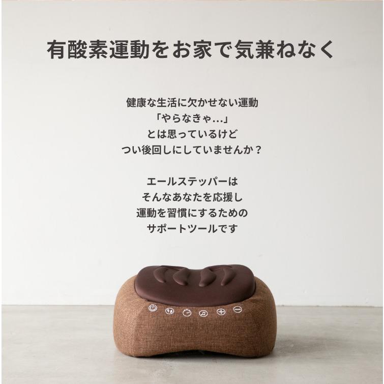 自宅で健康 エールステッパー 踏み台昇降 ステップ台 ステッパー ダイエット 有酸素運動 室内 エクササイズ | PROIDEA | 02