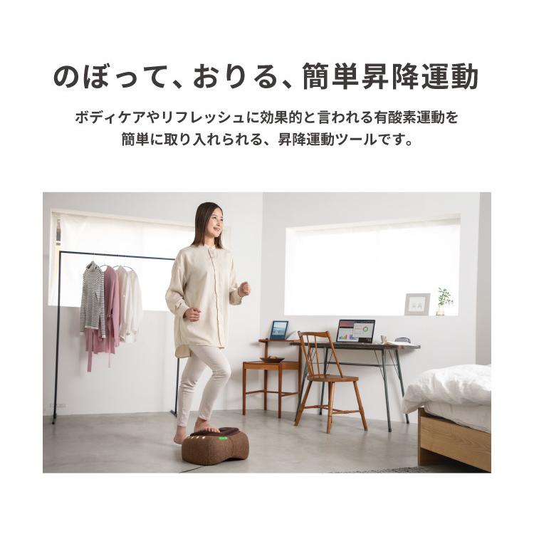 自宅で健康 エールステッパー 踏み台昇降 ステップ台 ステッパー ダイエット 有酸素運動 室内 エクササイズ | PROIDEA | 03