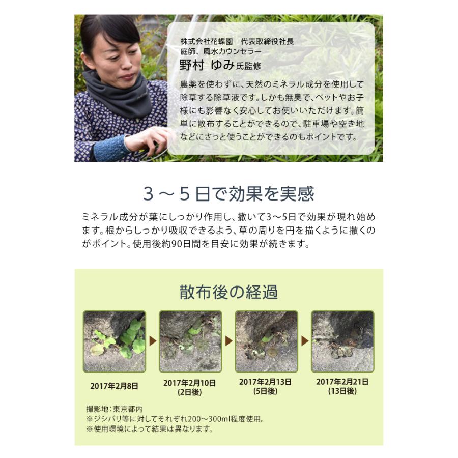 リピートゆみゆみ様5本モイスト1000