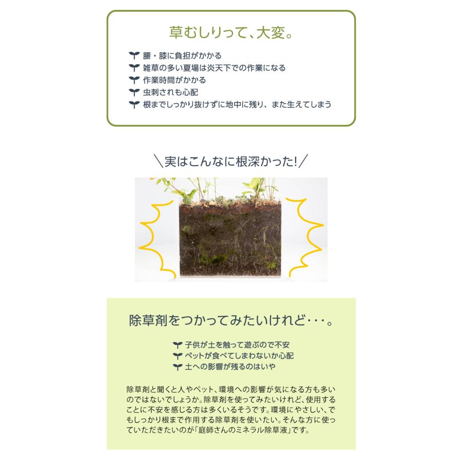 ドリーム 庭師さんのミネラル除草液 2L 除草剤 無農薬 人畜無害 液体 雑草駆除剤 雑草対策 子供やペットにも安心 安全 非農耕地用 送料無料｜le-cure｜04